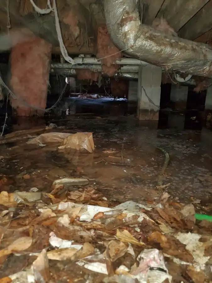 Crawl space flood assessment for Leak Detection & Repair in Southold