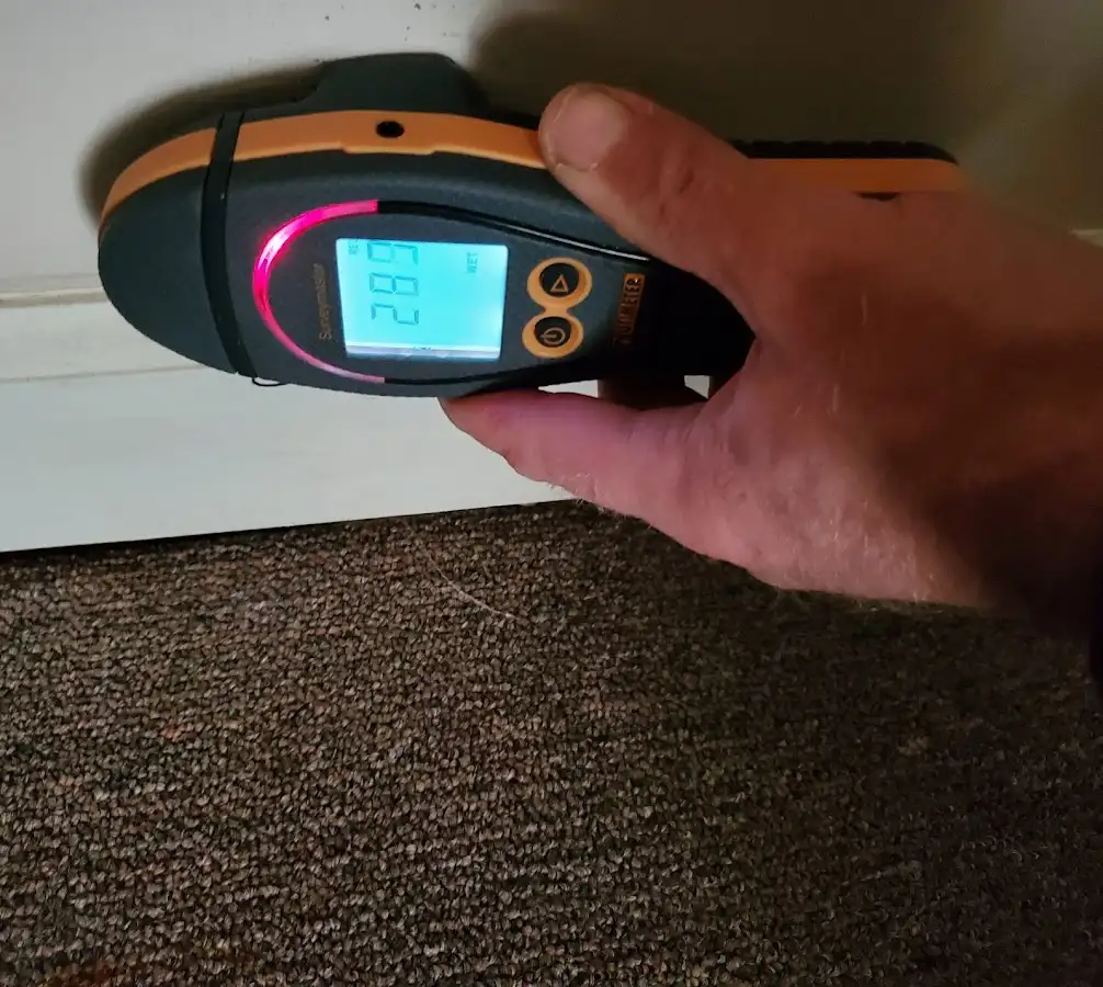 Moisture detection at baseboard during Sewage Cleanup & Sanitation in Southold